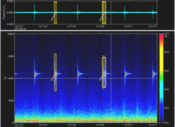 acoustic-data-analysis-software
